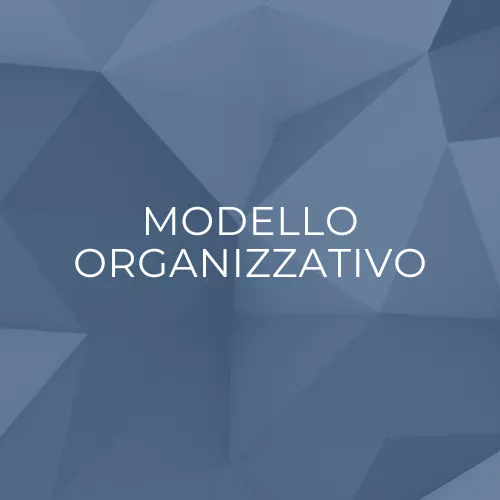 Modello Organizzativo