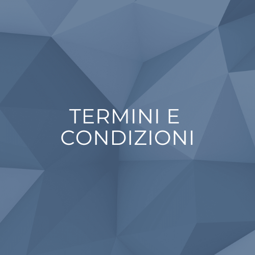 Termini e Condizioni