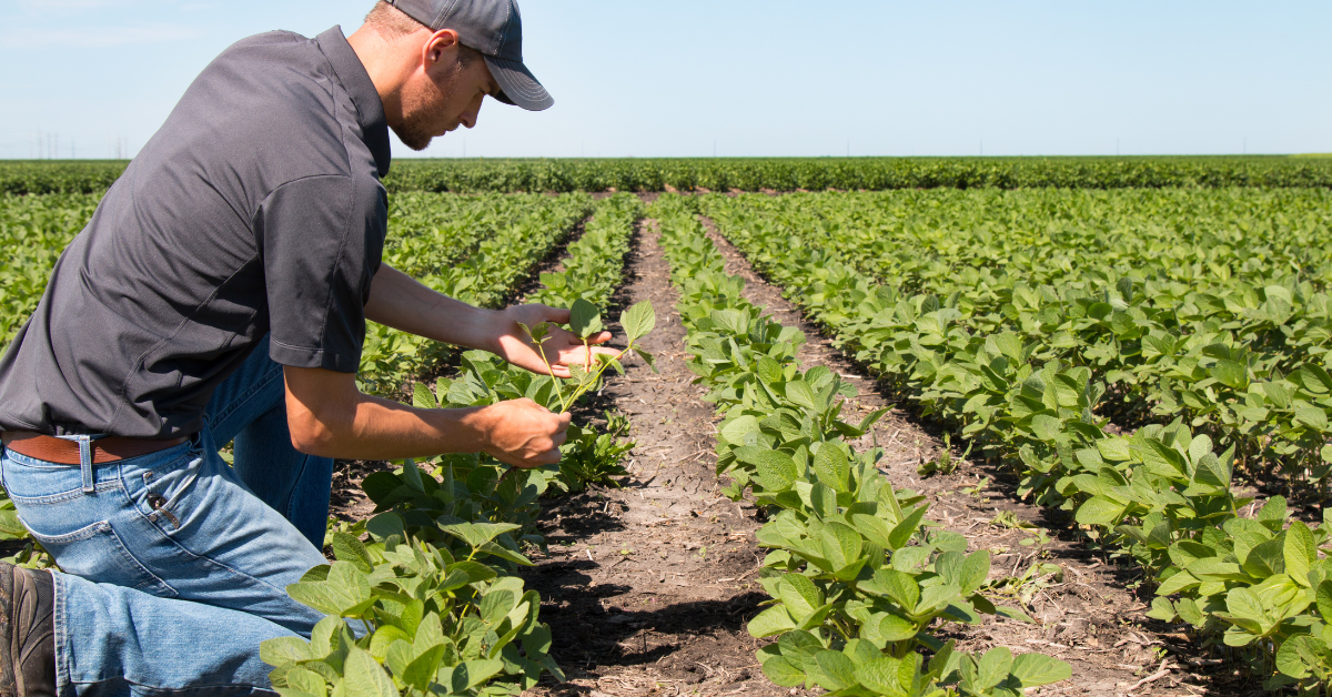 learning-practices-agrifood